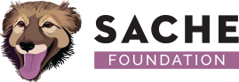 ASOCIAŢIA SACHE
